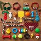 Paw Advent Calendar