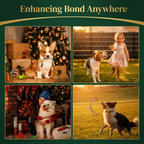 Paw Advent Calendar