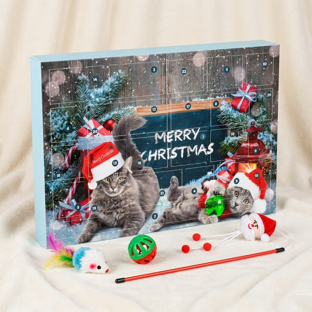 Cat Advent Calendar box with toys