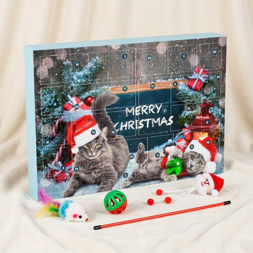 Cat Advent Calendar box with toys